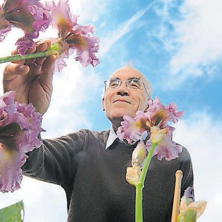 Simon Dodsworth Admiring his Irises