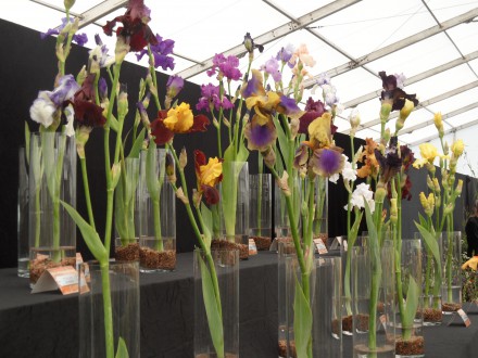 Suffolk Show Stand Exhibit.