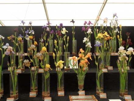 Suffolk Show Stand Exhibit