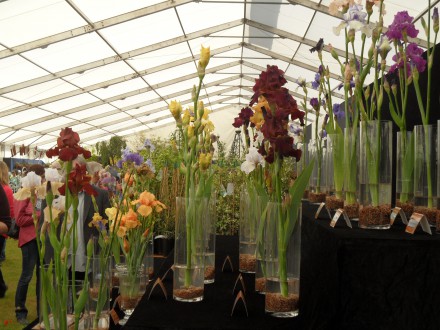 Suffolk Show Stand Exhibit