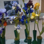 Bearded Irises at British Iris Society Summer Show