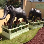 RHS Chelsea - Red Pike Bearded Irises with Suzie Marsh's marvellous elephants