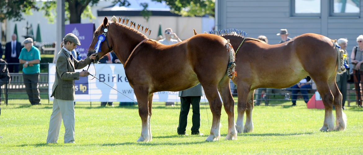 The Suffolk Show