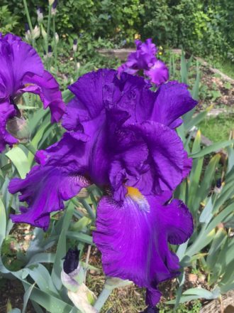 Spring 2026 Summary Update Tynedale