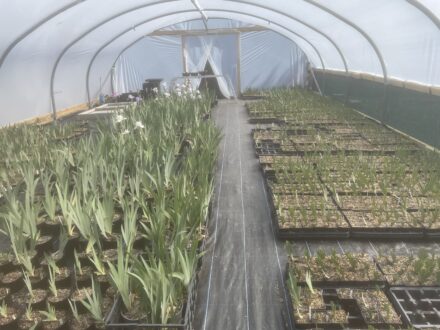 Spring 2026 Update New Nursery